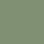 Awning Fabric Swatch Sage S-D145